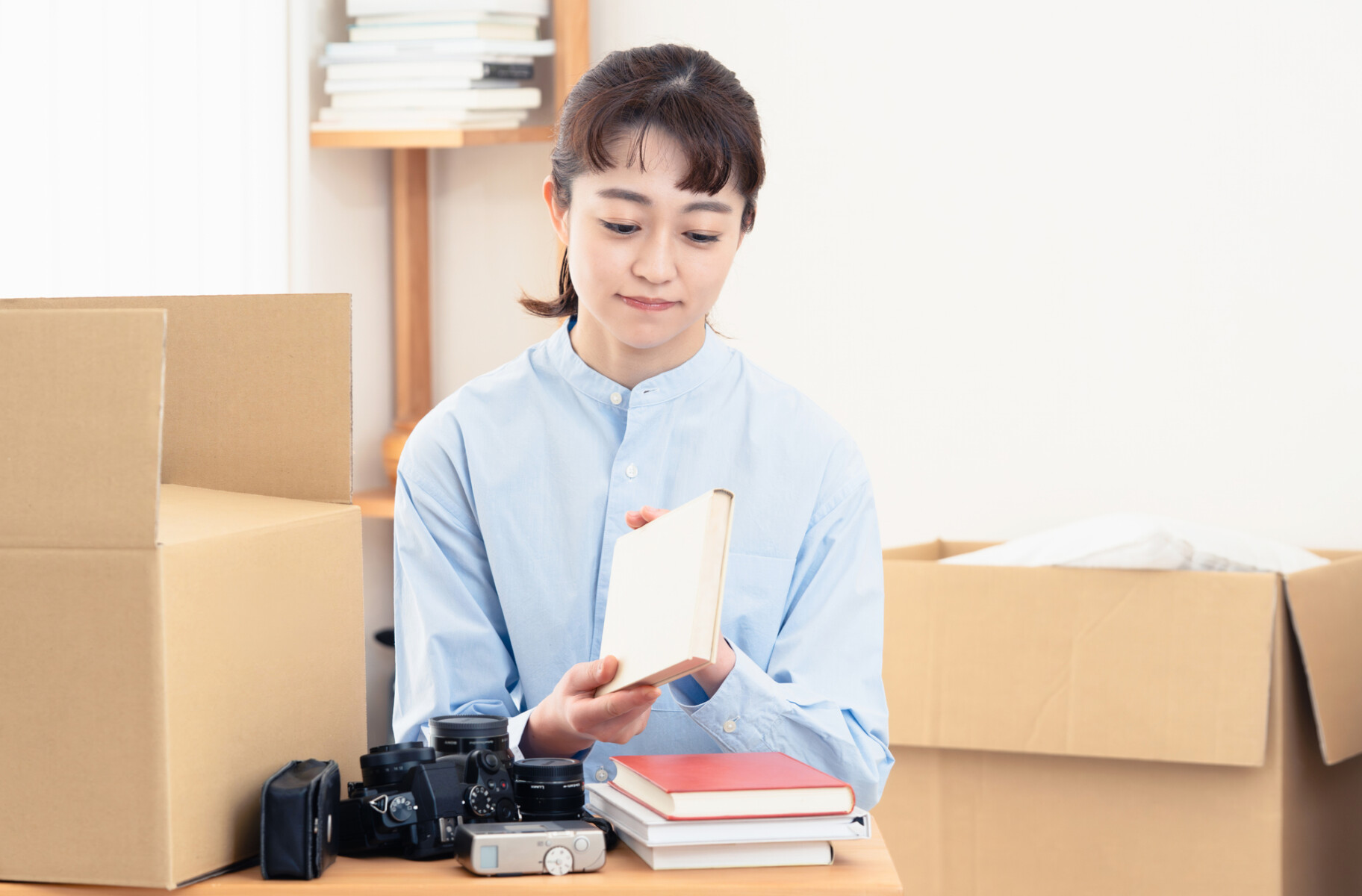 まとめ｜古い図鑑は内容や専門性によって価値が変わる