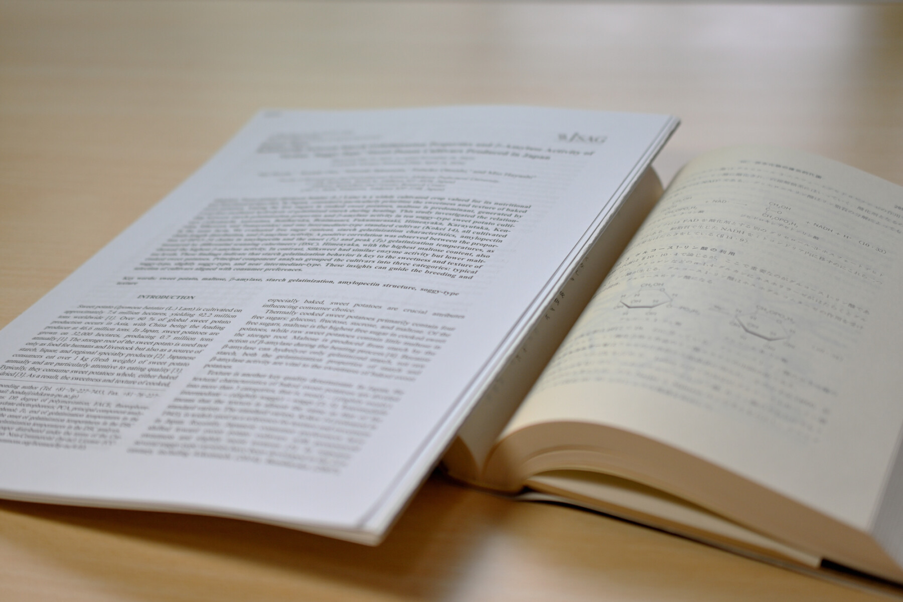 学術書の査定では書き込みや付属品が見られる